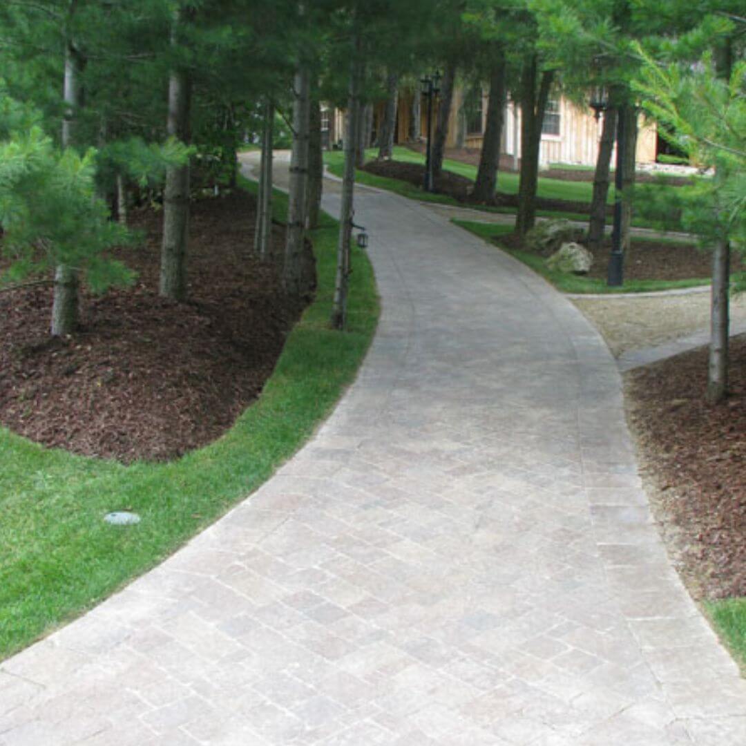 commercial property in guelph with interlocking pathway through trees
